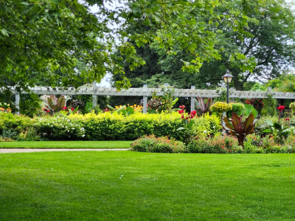 Formal lawn in front of a white pergola and deep beds of flowering shrubs and cannas