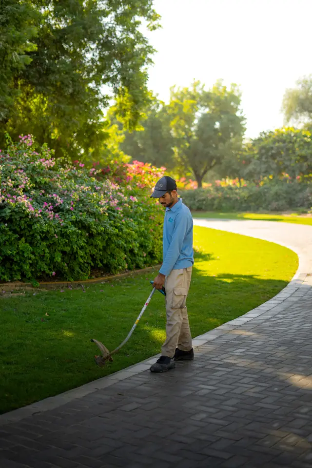 Crew member edging the lawn along a curved paver path with a string trimmer