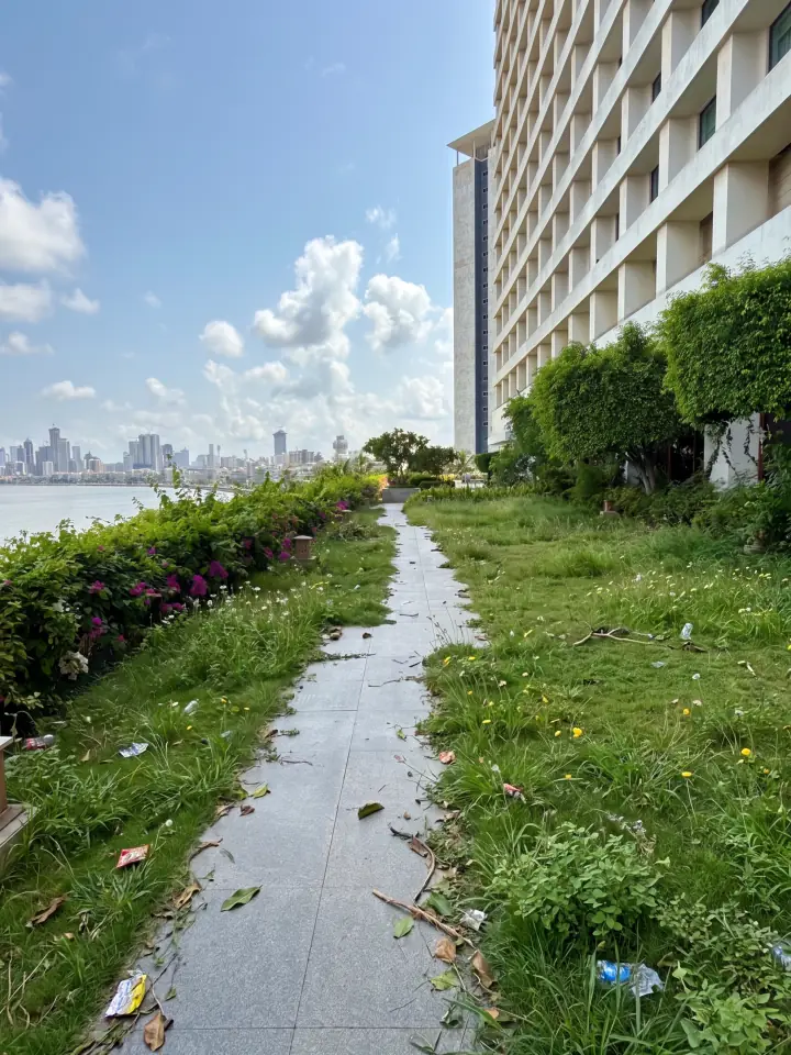 Before: shaggy lawns grown over the walk edges, weeds and litter along the path